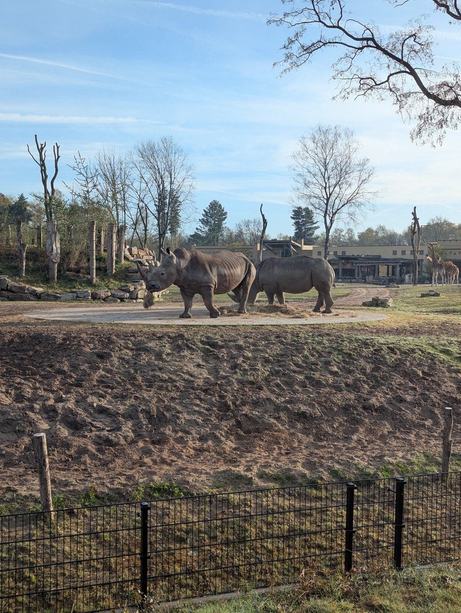 Letmoneywork050's tweet image. Guten Morgen und frohen restlichen Ostermontag. 

#Safaripark
#Ostern