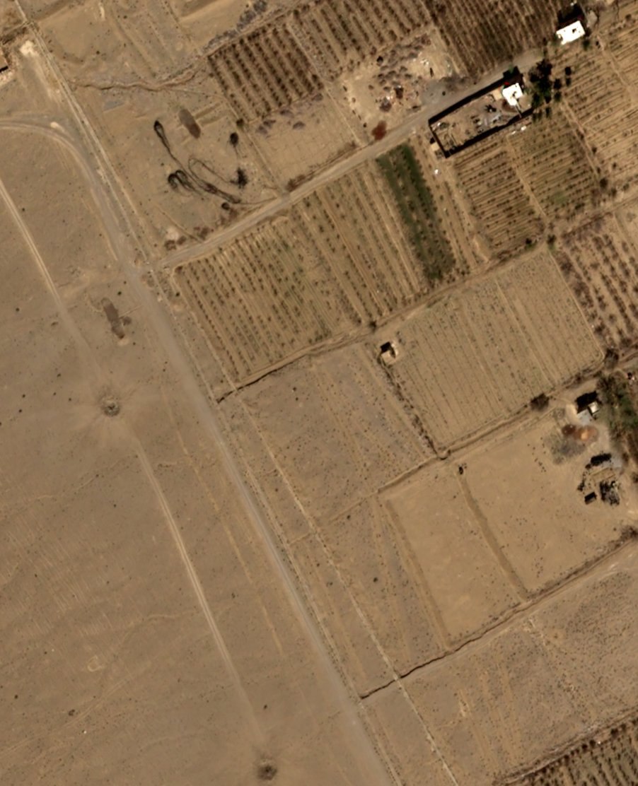 Hananya Naftali tweet media