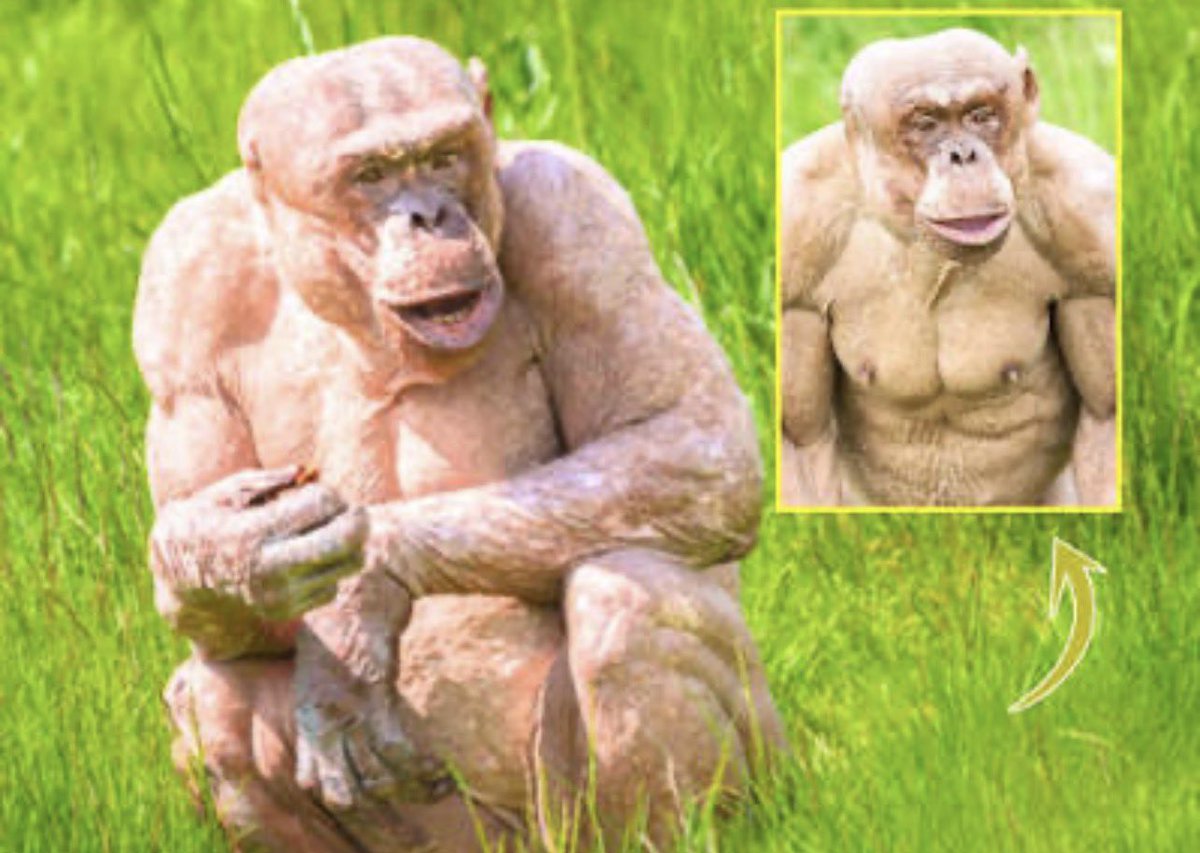 Grzegorz tweet media