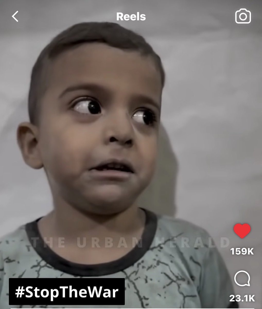 Kathleen Thomas tweet media