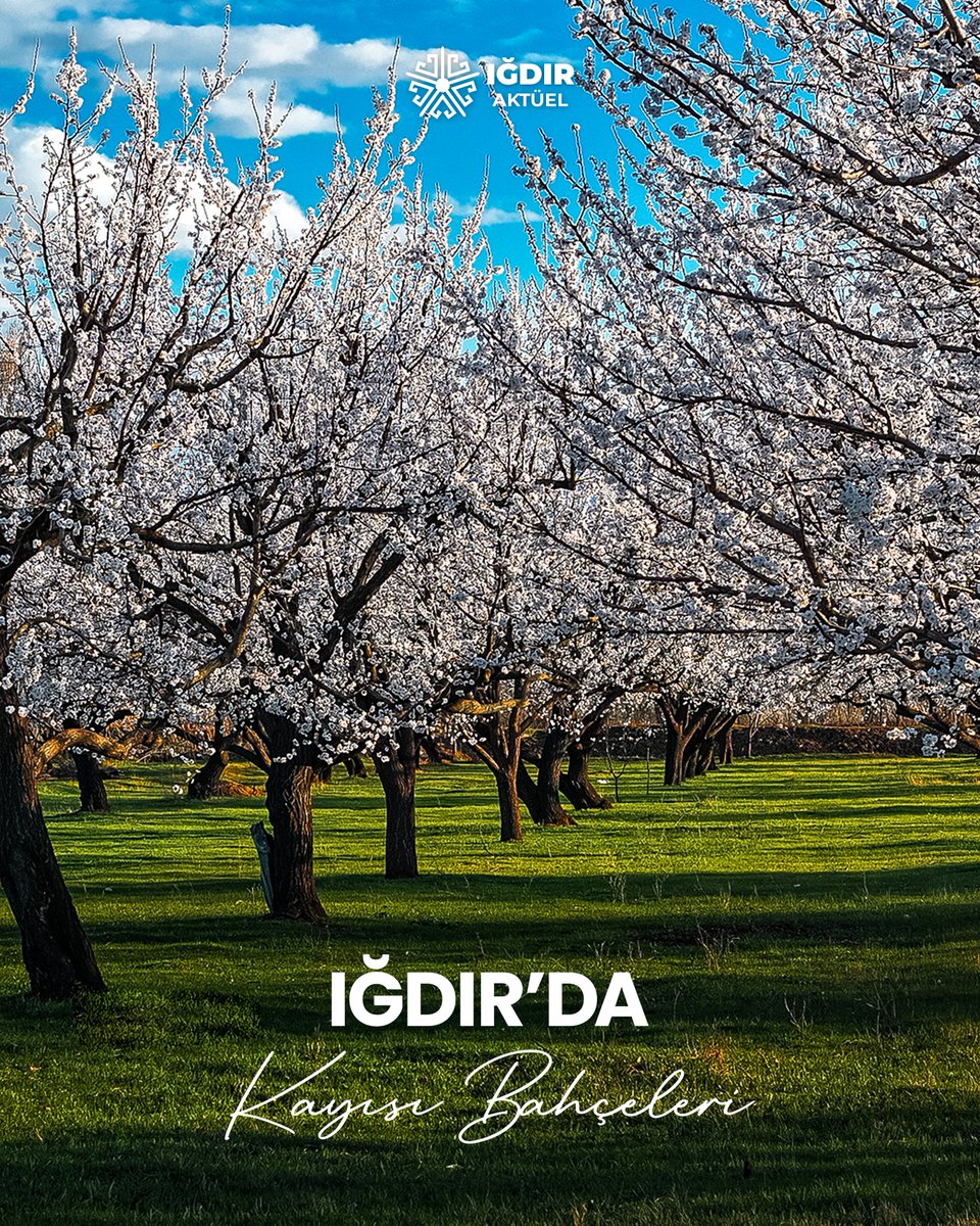 Iğdır Aktüel tweet media