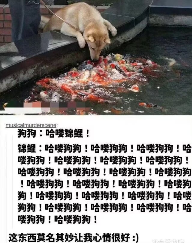 早露泡泡兔（四代目）寻回推油中 tweet media