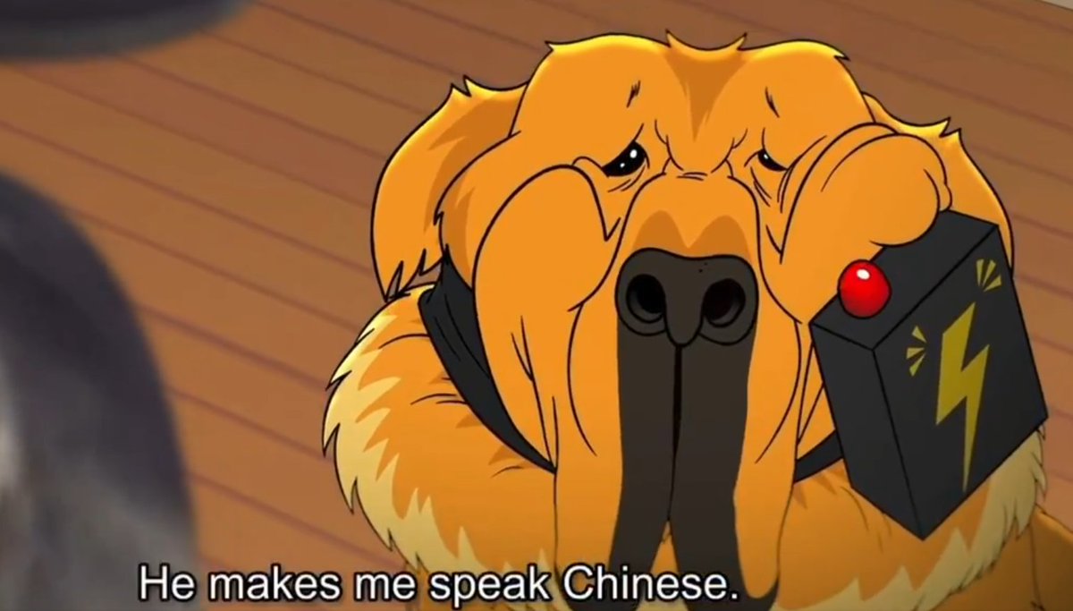 Weekend Warrior ☝️🐉🏆🐏 tweet media