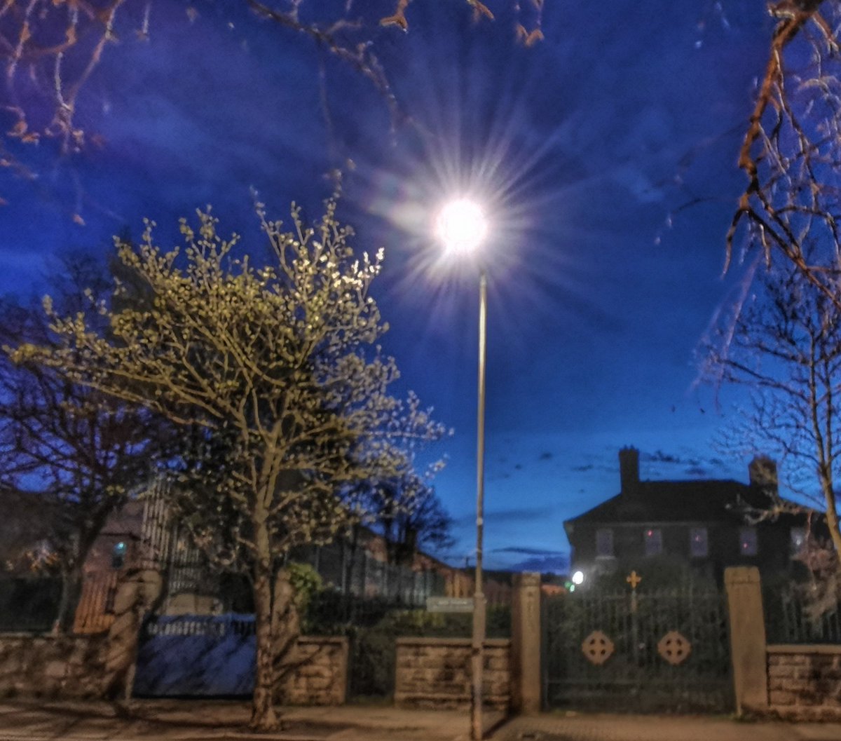 Brenda Malloy 🇮🇪🇵🇸🎶🎶🎶 tweet media