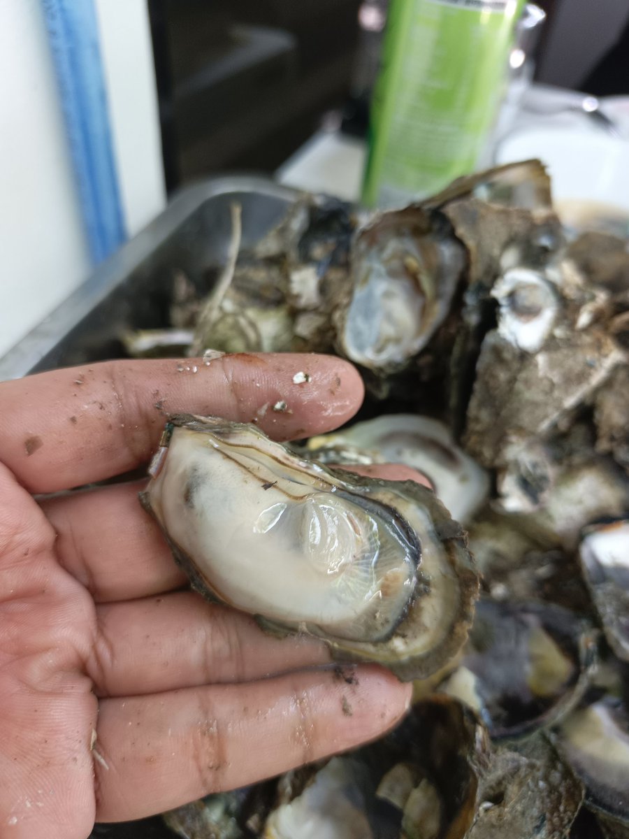 MarkG1980 tweet media