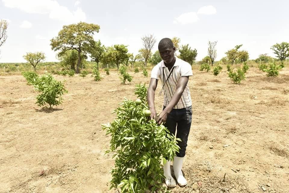 GideonSsekidde's tweet image. OWC is crushing it.President Museveni's initiative is boosting farmers nationwide, fruits, livestock, and incomes are growing,More money, more opportunities. #GoldenPosts   @OWC_ug #UgandaFarming @GovUganda #WealthCreation.