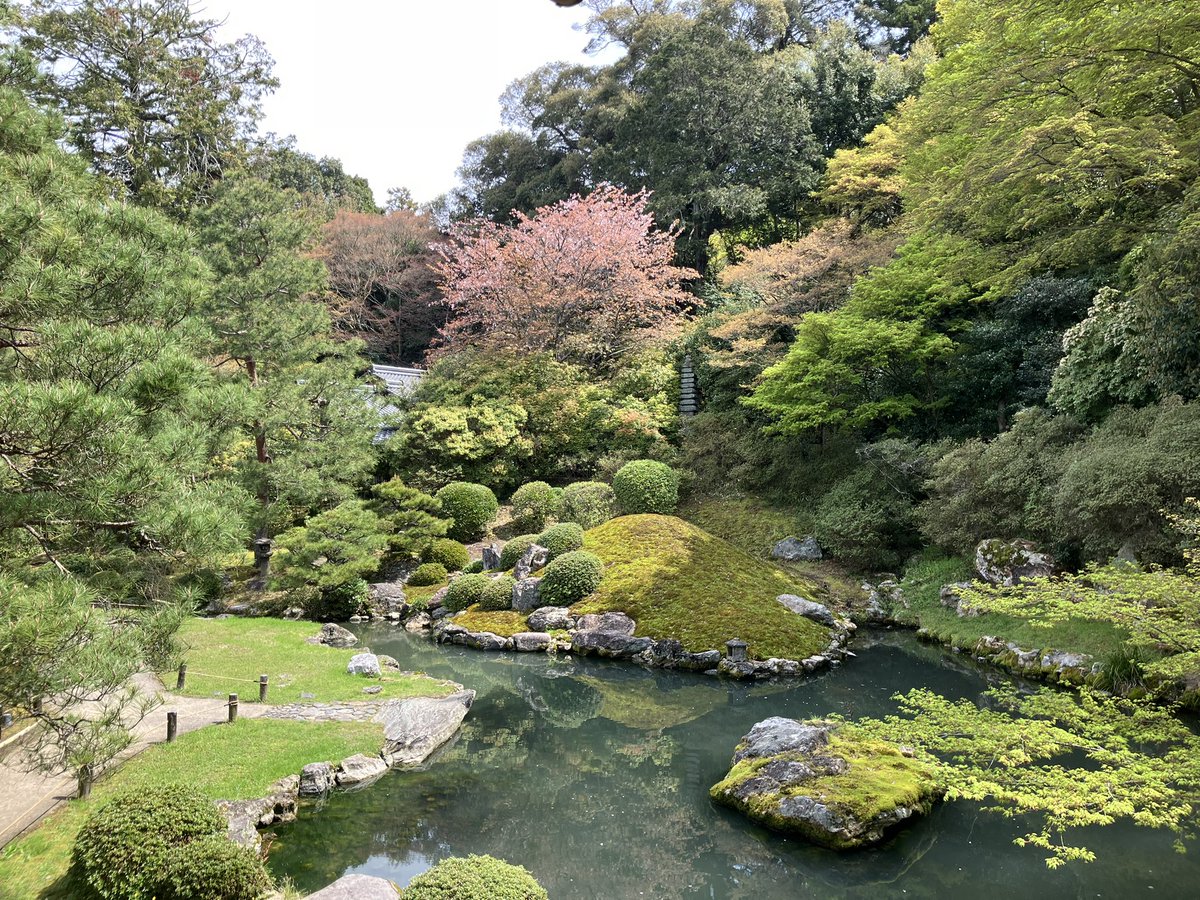 でんでん tweet media