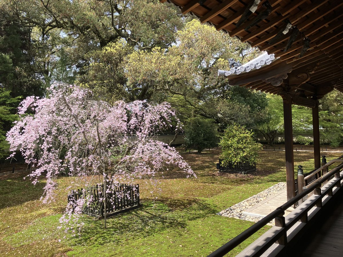 でんでん tweet media