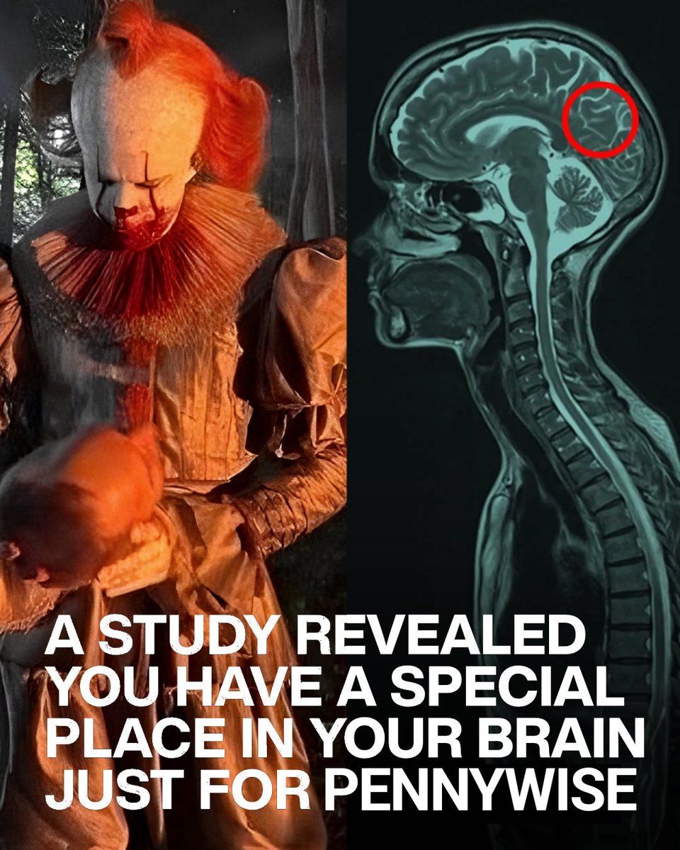 ʬʬ. 𝑪𝒓𝒆𝒆𝒑﹗⌗᪶ tweet media