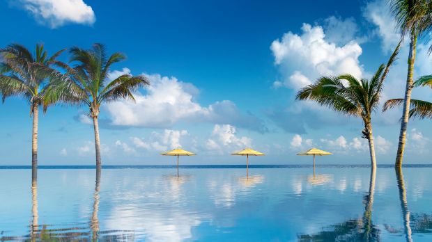 Safa Jaber tweet media