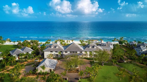 Safa Jaber tweet media