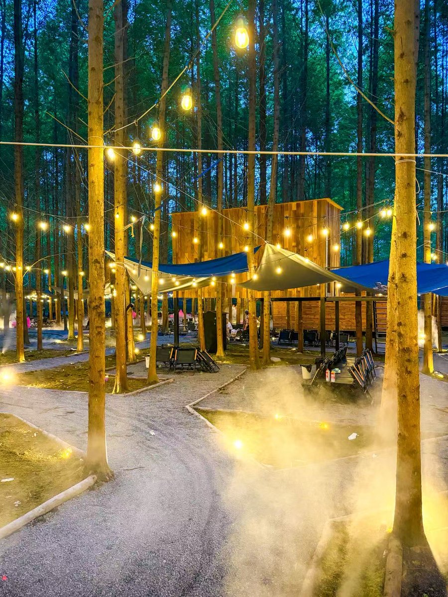 Mcrphrc Lebs🦋 tweet media