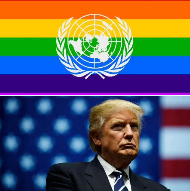 Noticias LGBT+ tweet media