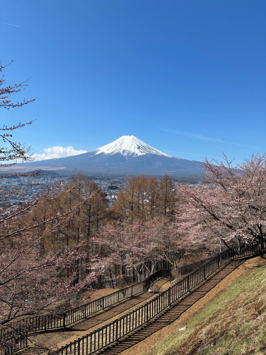 富士五湖観光連盟 tweet media