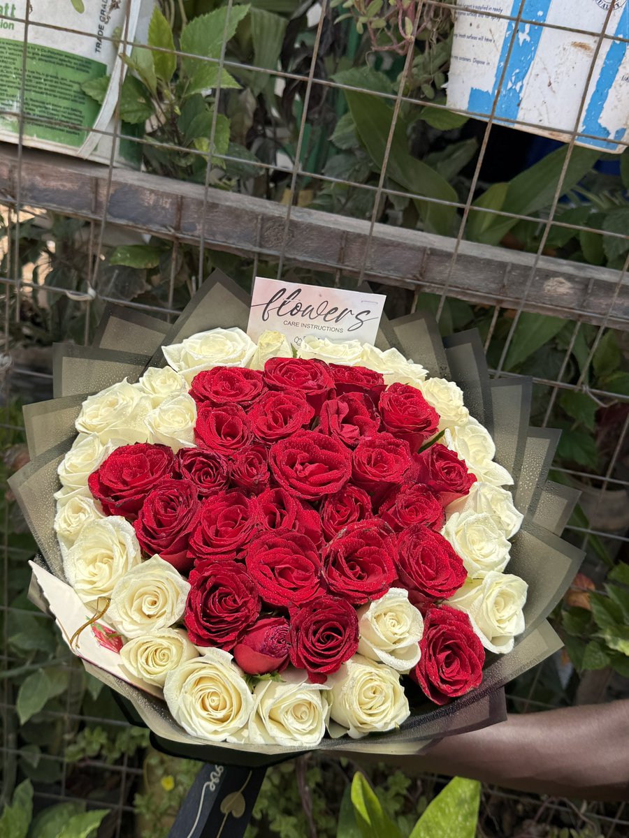 Aisha Khamis Ali tweet media