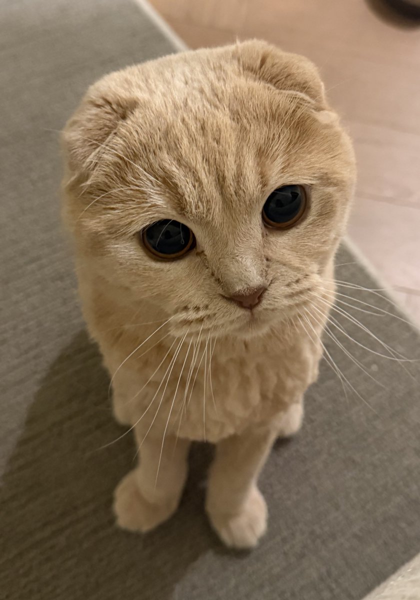 Lavender tweet media