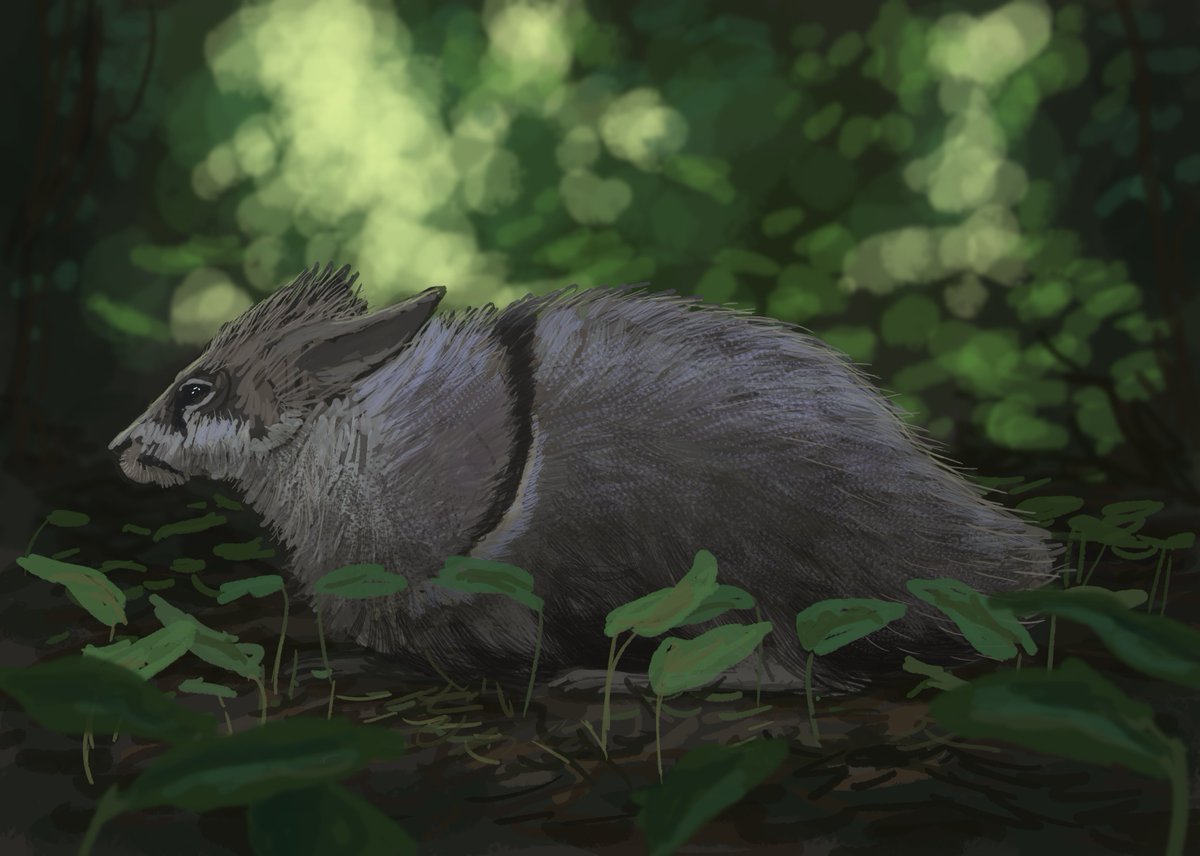 Joschua Knüppe tweet media