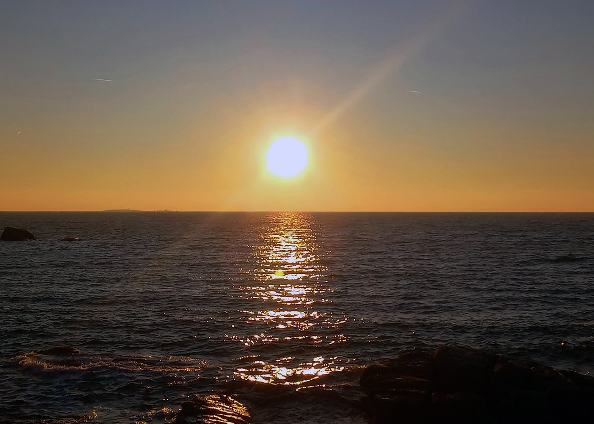 Alain Hanel tweet media