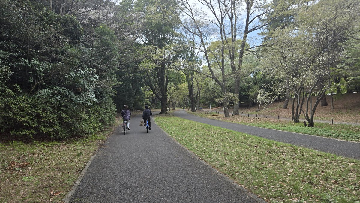 Kuu:くぅ tweet media