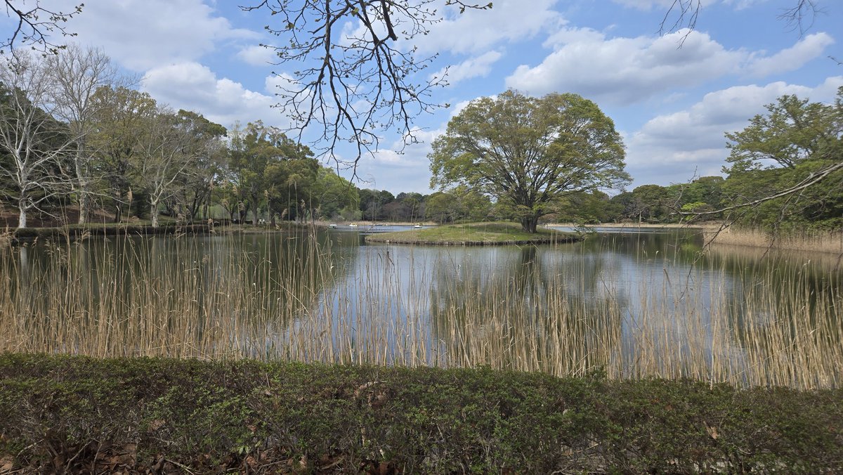 Kuu:くぅ tweet media