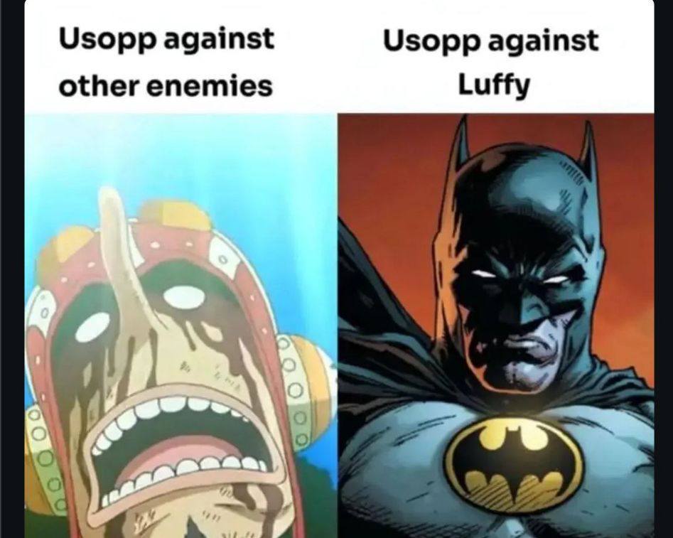 One Piece Daily tweet media