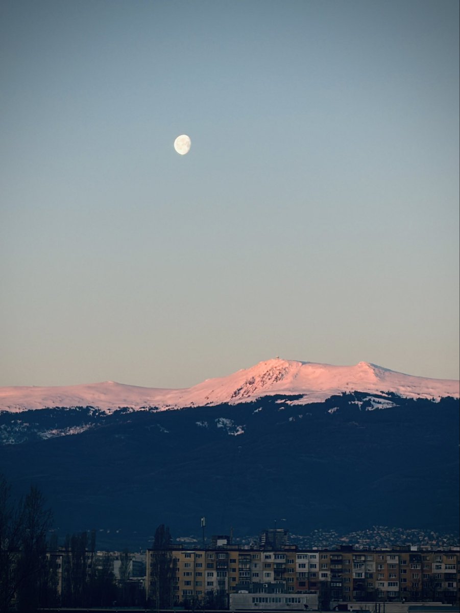 Todorakis tweet media