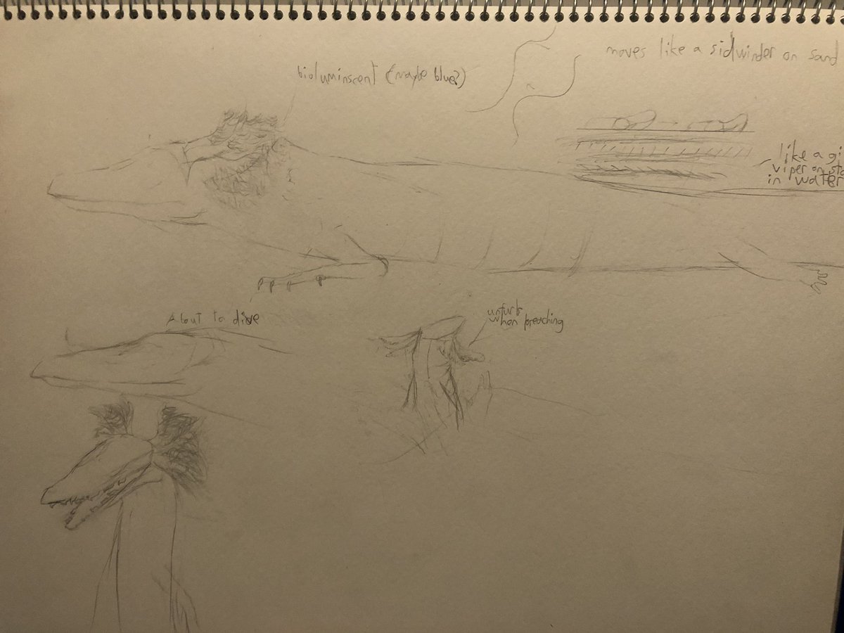 Eoraptor lunensis tweet media