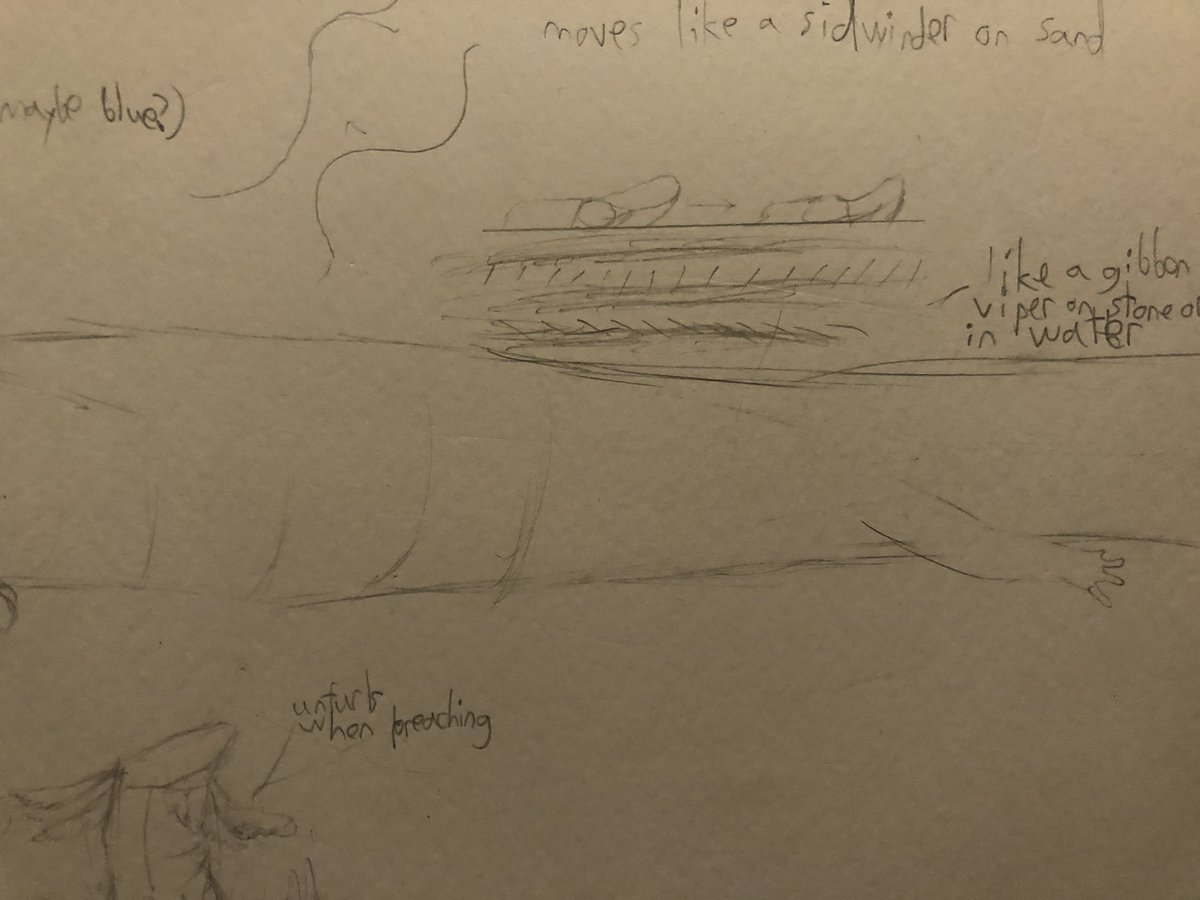 Eoraptor lunensis tweet media