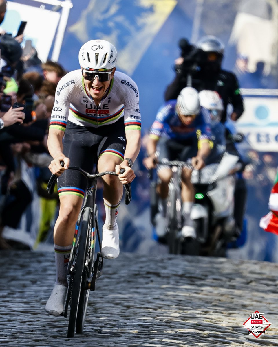 COLNAGO JAPAN tweet media