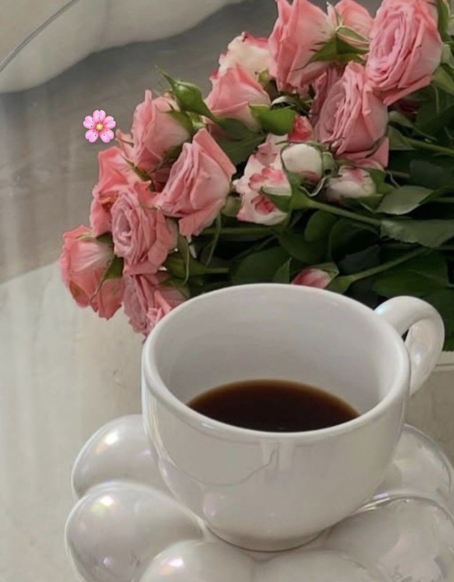 العفاف|كاتبة📚 tweet media