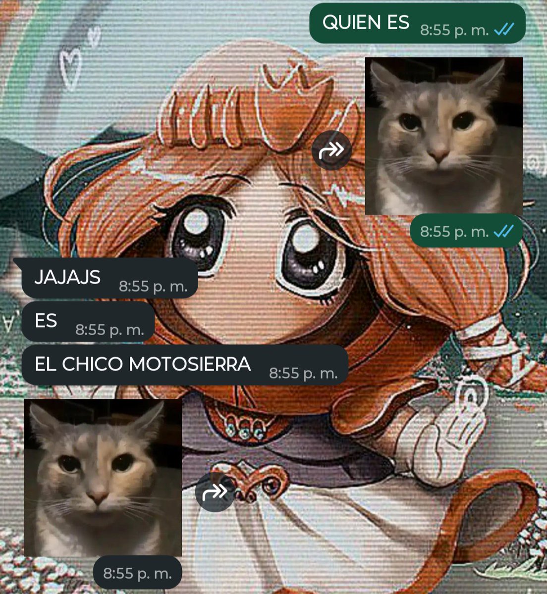 Mantecadoo tweet media