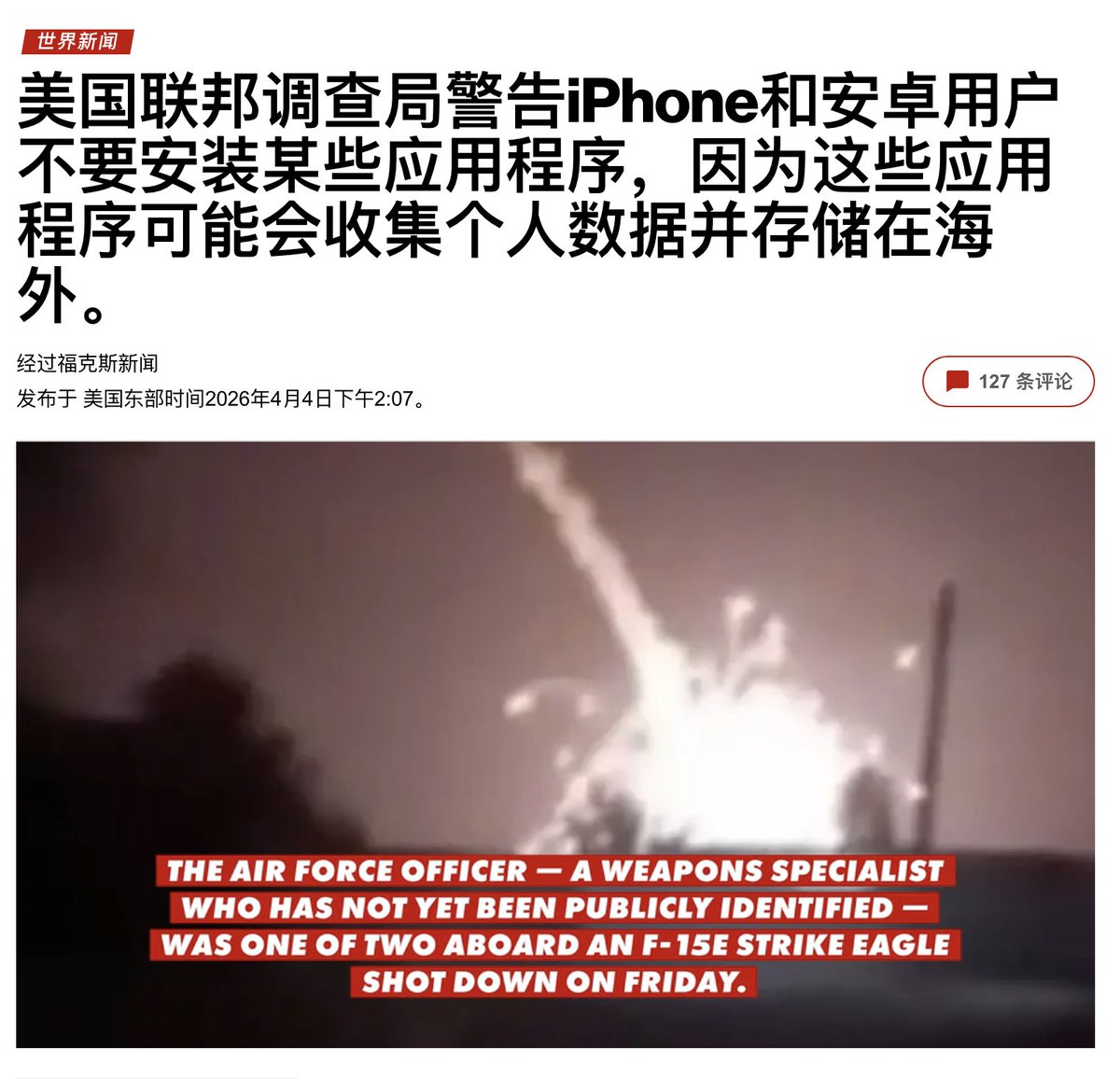 肌肉猫Elva🐱musclecat tweet media