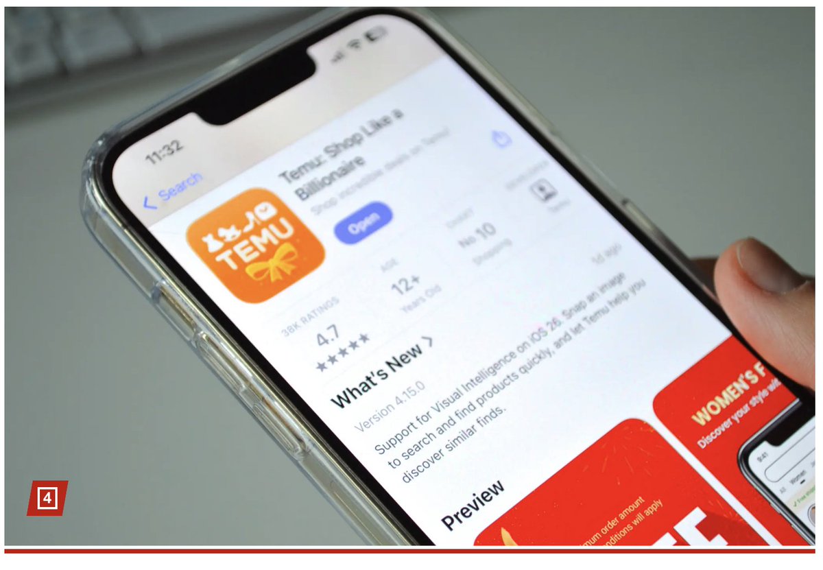 肌肉猫Elva🐱musclecat tweet media