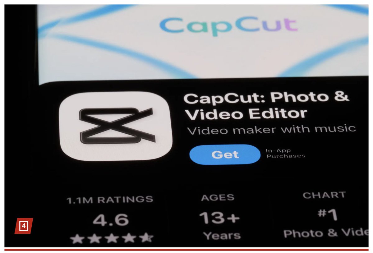 肌肉猫Elva🐱musclecat tweet media