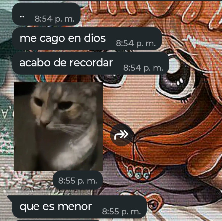 Mantecadoo tweet media