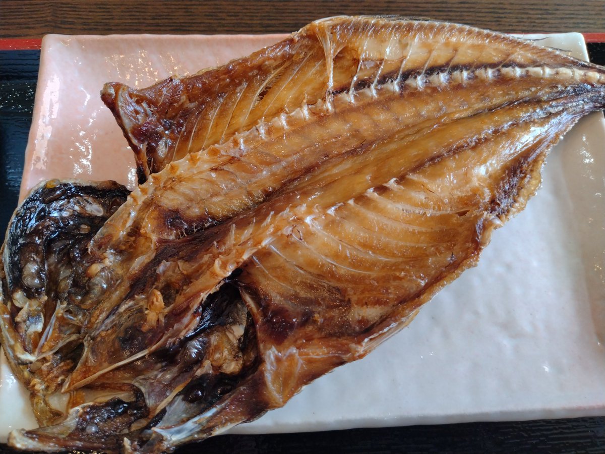 よこさん平日旅人 SSTR2026 5月26日出走予定 tweet media