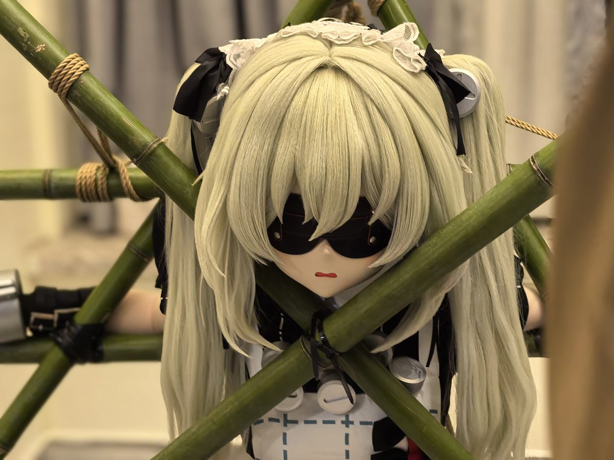 脱水猫饼 tweet media