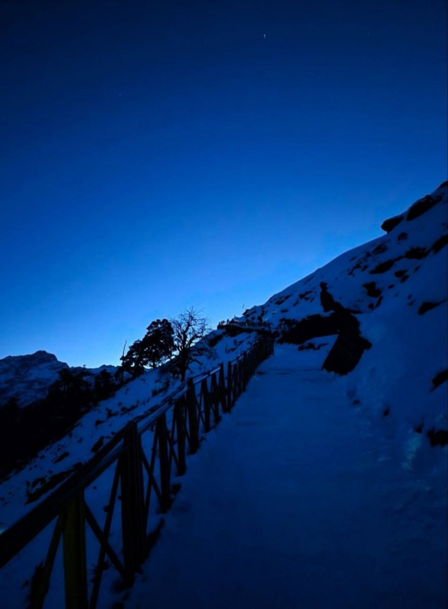 Rish ✨ tweet media