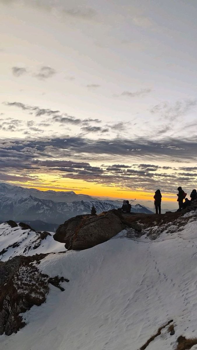 Rish ✨ tweet media