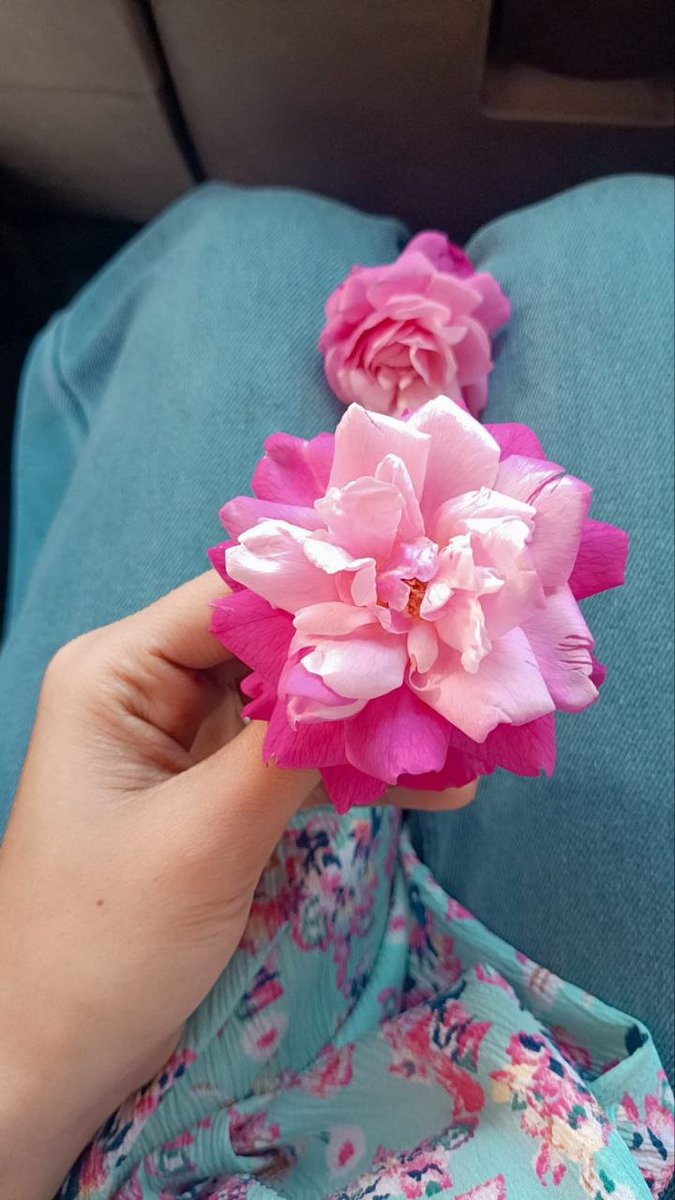 Rish ✨ tweet media