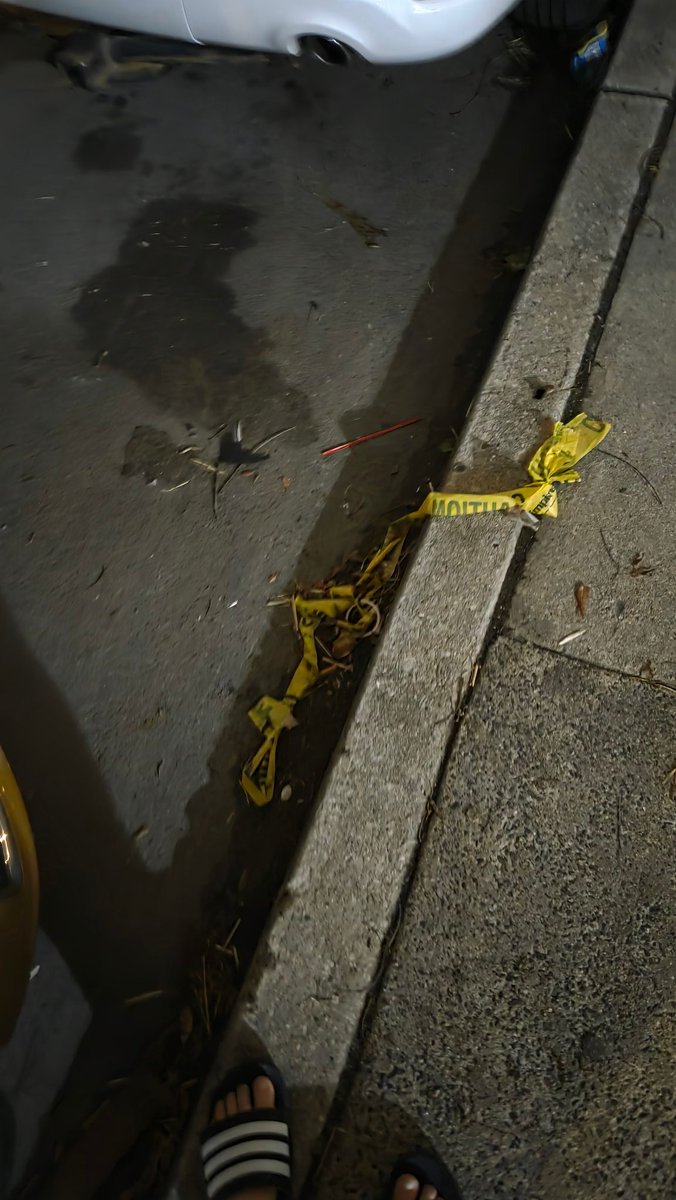 ☔️Tristanトリスタン tweet media