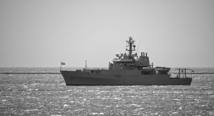 Chris Day tweet media