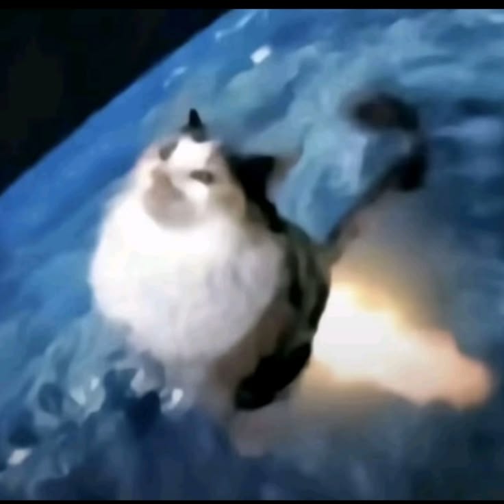 bebel puasa topap tweet media