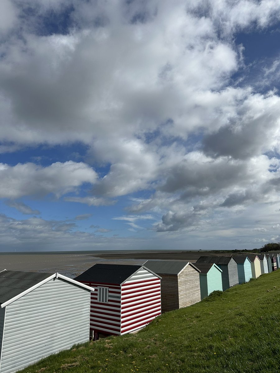 Meningioma Host tweet media