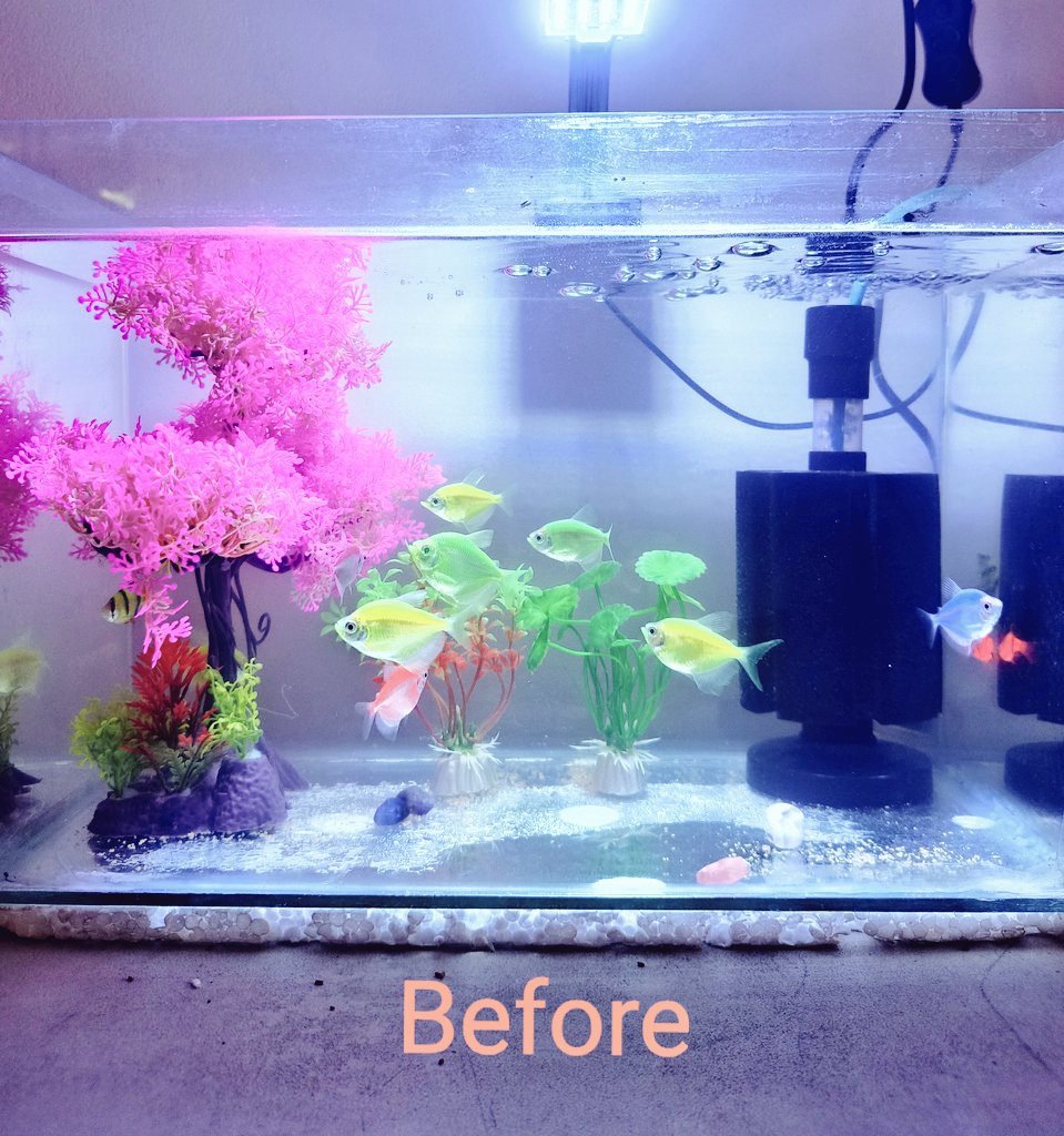 MarkG1980 tweet media