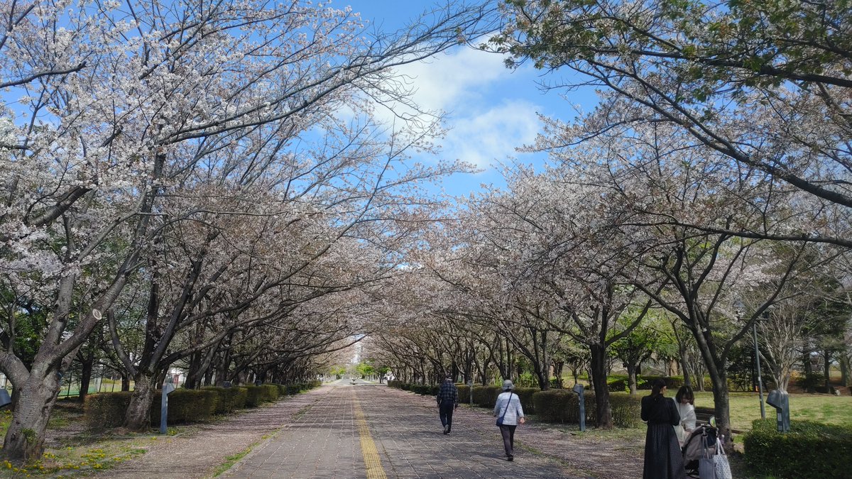 郷田楓 tweet media