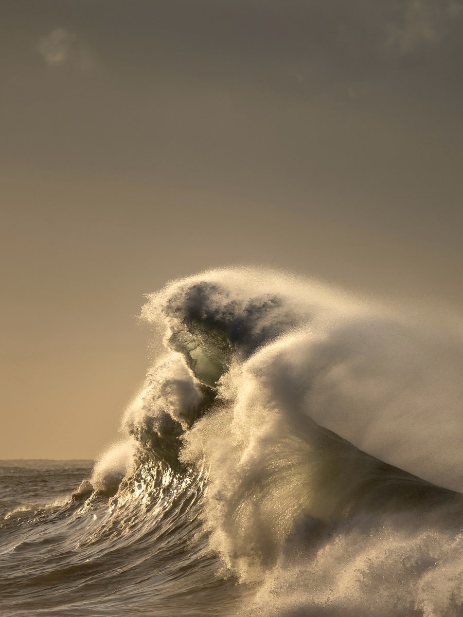 Delight Moments tweet media