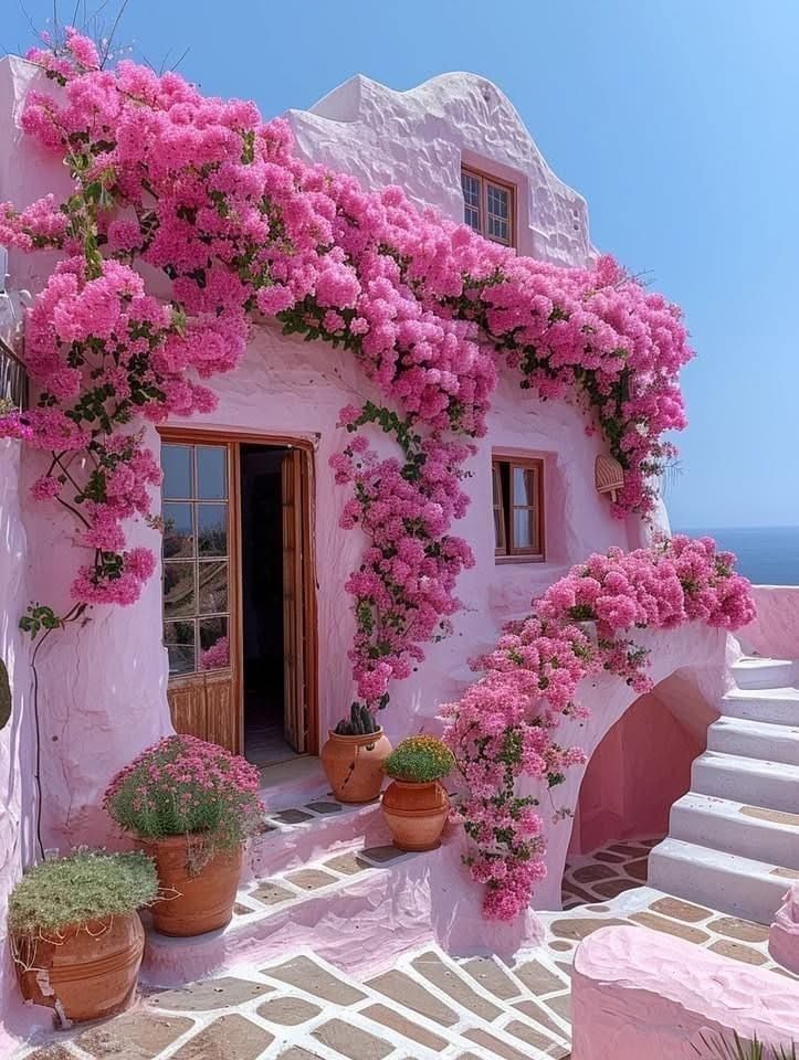 irina3529's tweet photo. Good morning.. 🌸🩷 https://t.co/i4uXzWUapm