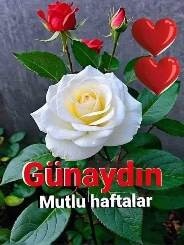 İBRAHİM tweet media