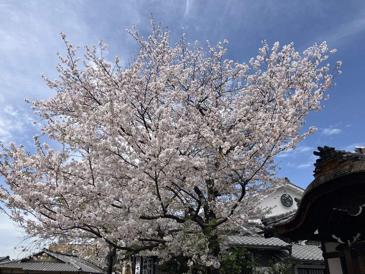 でんでん tweet media